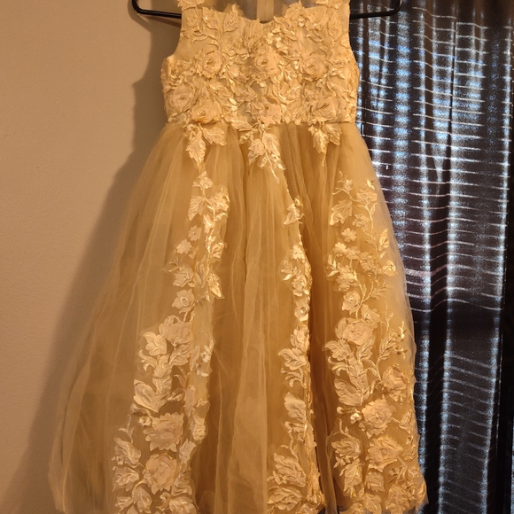 Two Champagne-Colored Flower Girl Dresses + Matching Shoes - Picture 1 of 6